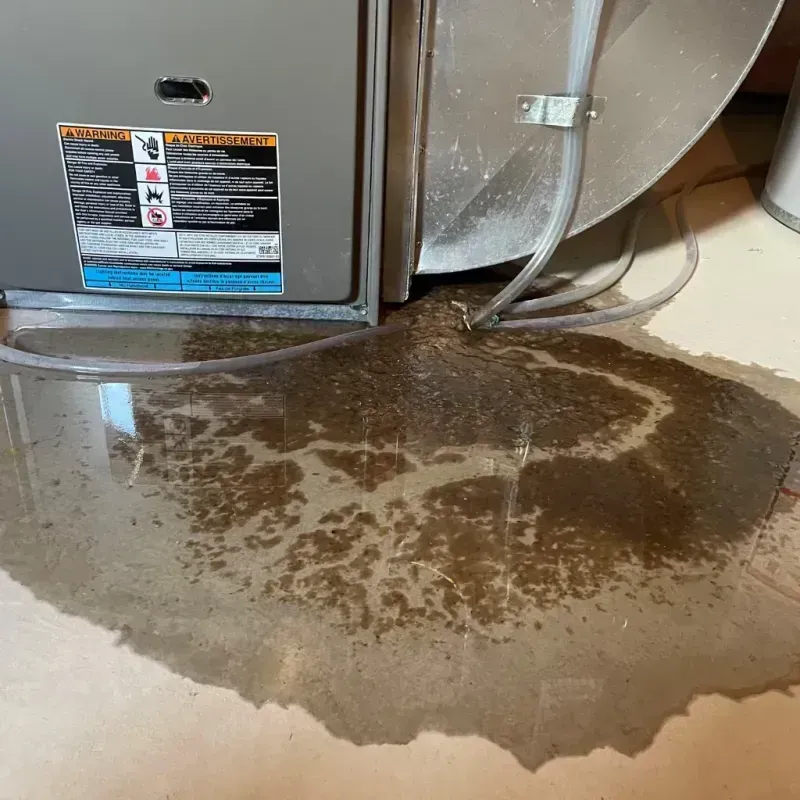 Appliance Leak Cleanup in Constantine, MI